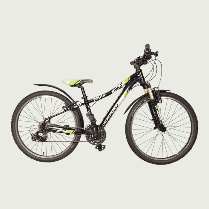 24.2253 kinderfiets - BikeFlip