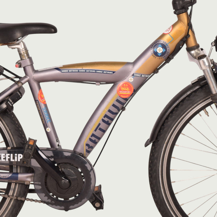 24.642 kinderfiets - BikeFlip