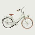 26.2429 kinderfiets - BikeFlip