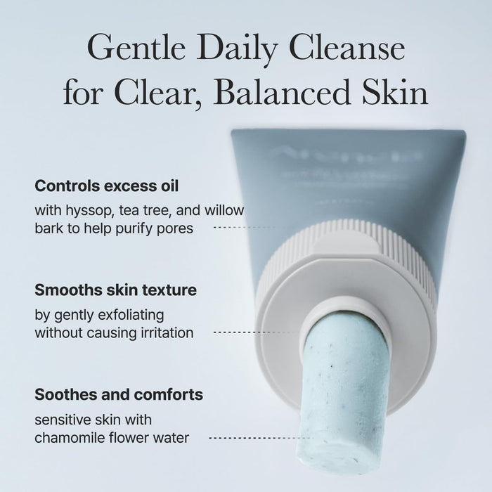 ARENCIA - Hyssop Sebum Control Rice Cake Cleanser