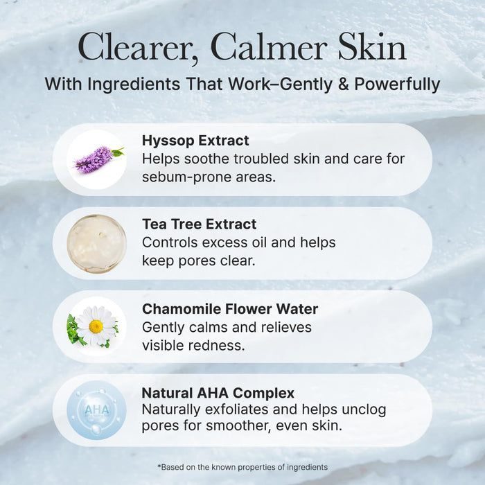ARENCIA - Hyssop Sebum Control Rice Cake Cleanser