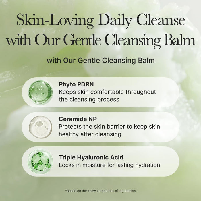 ARENCIA - Pore Melt Phyto PDRN Cleansing Balm