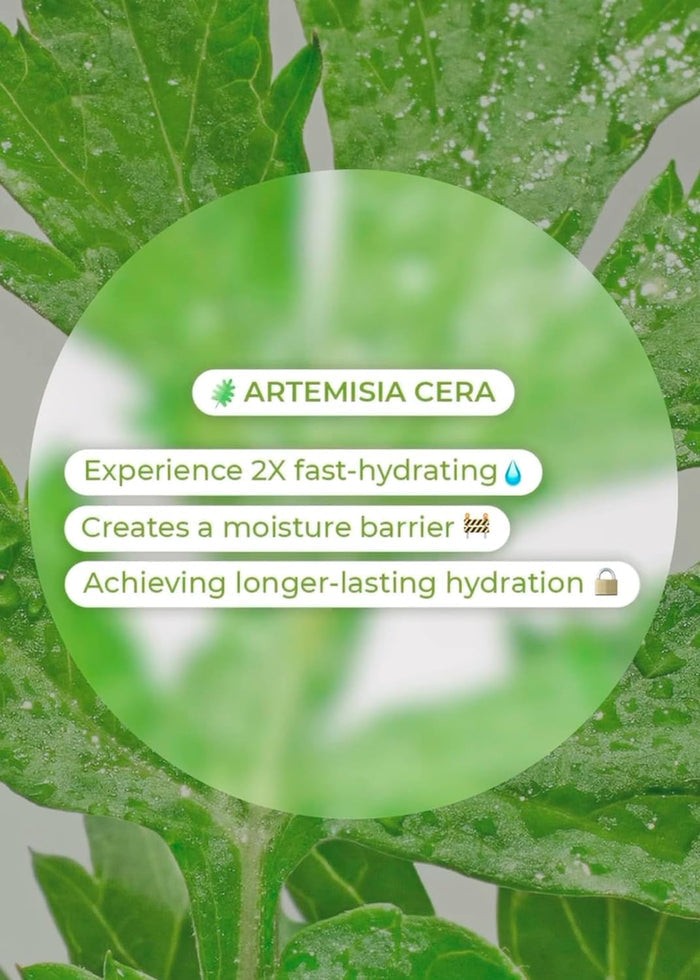 BRING GREEN - Artemisia Calming Moisture Repair Cream (Discounted)