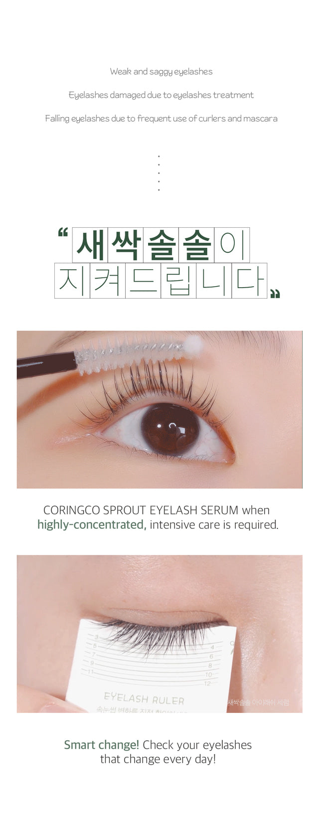 CORINGCO - Sprout Eyelash Serum
