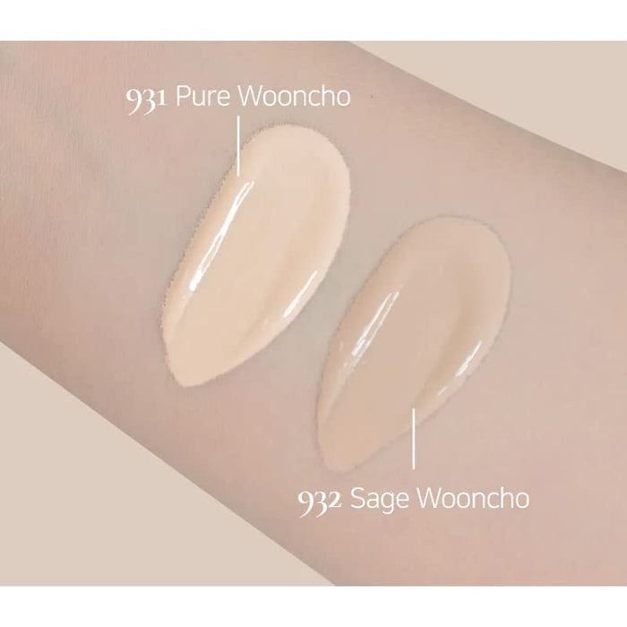 DINTO - Wooncho Blur Glowy Foundation