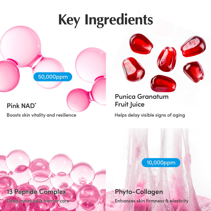EQQUALBERRY - NAD+ Peptide Boosting Cream
