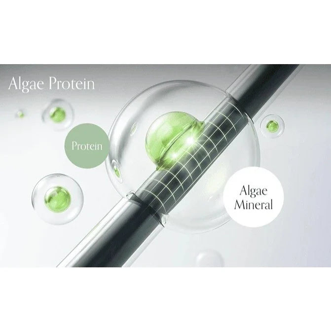GROWUS - Algae Therapy Mineral No-wash Treatment