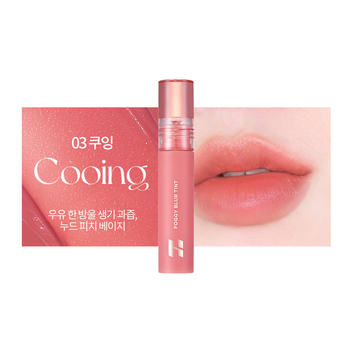 HOLIKA HOLIKA - Foggy Blur Tint - 4 Hazy (Discounted)