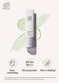 JUNGSAEMMOOL - Skin Setting Tone Correcting Base