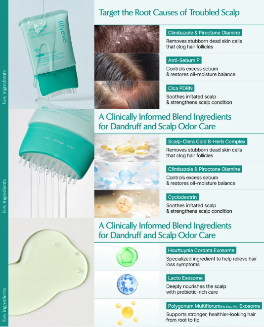 LILYEVE - Scalp Turn Cica PDRN Brush Ampoule