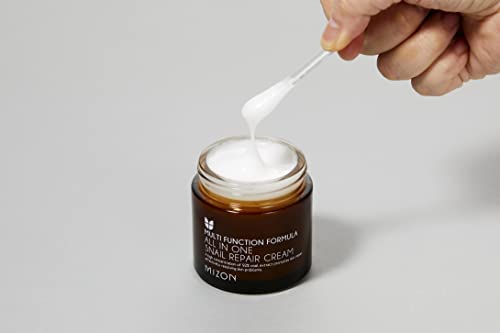 MIZON - All In One Snail Repair Cream