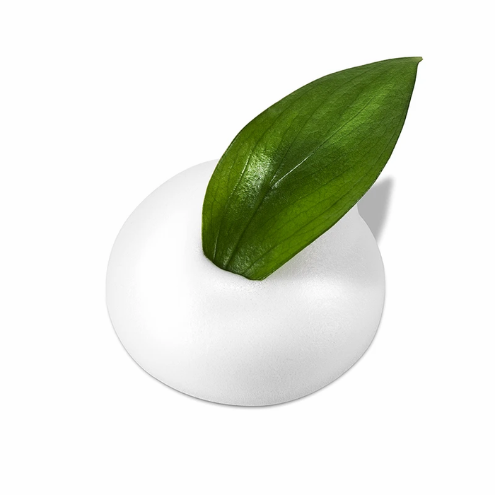 NEOGEN DERMALOGY - Real Fresh Foam Cleanser Green Tea