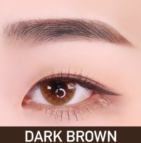 PASSION CAT - 2X Eyebrow Tint Pen
