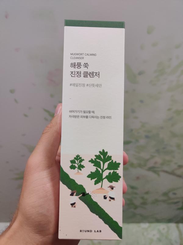 ROUND LAB - Mugwort Calming Cleanser