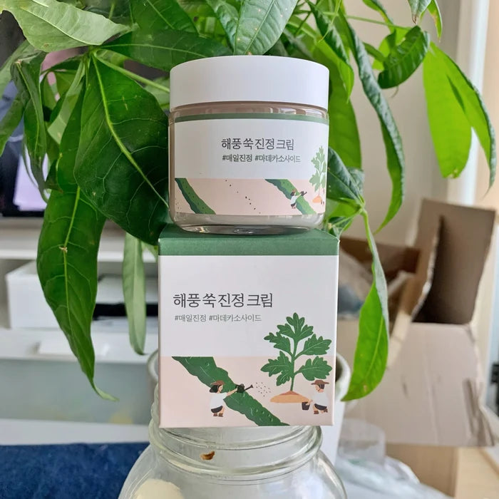 ROUND LAB - Mugwort Calming Cream