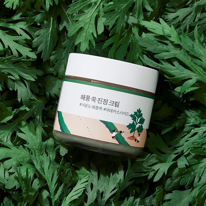 ROUND LAB - Mugwort Calming Cream