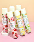 Shampoo Lavado en Seco