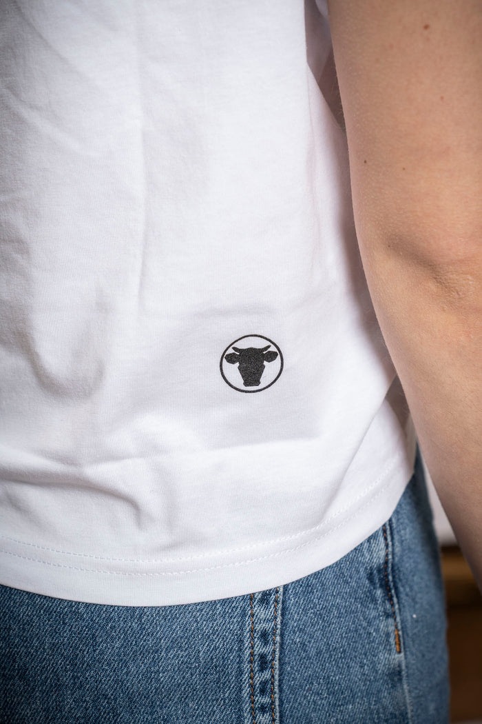 Shirt Land 2.0