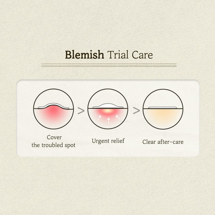 SKINFOOD - Cica Clear Spot Patch