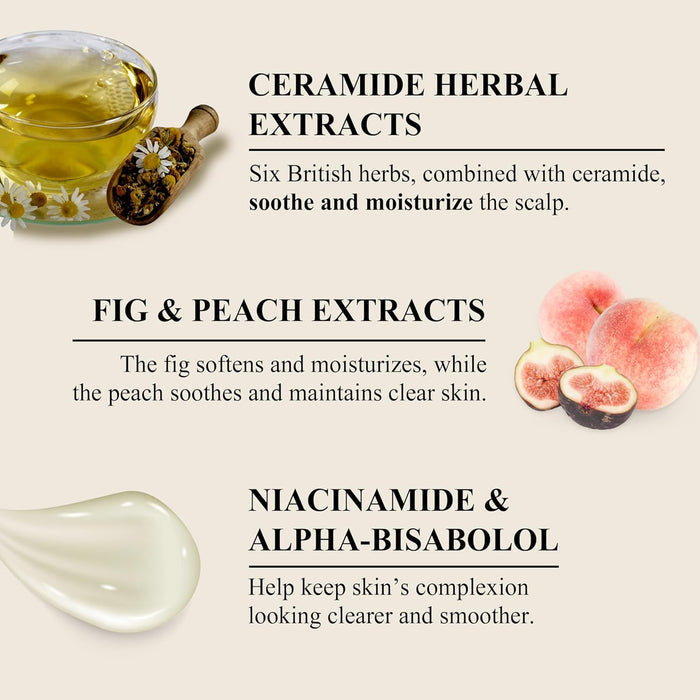 TEABLESS - Perfume Body Lotion Fig Peach Oolong Tea