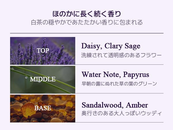 TEABLESS - Perfume Body Lotion Sage Amber Purple Tea