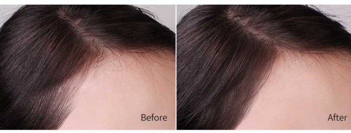 TONY MOLY - Personal Hair Contouring Style Puff Black (Discounted)